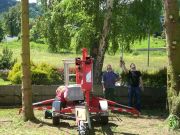 Baumfällarbeiten - Killer